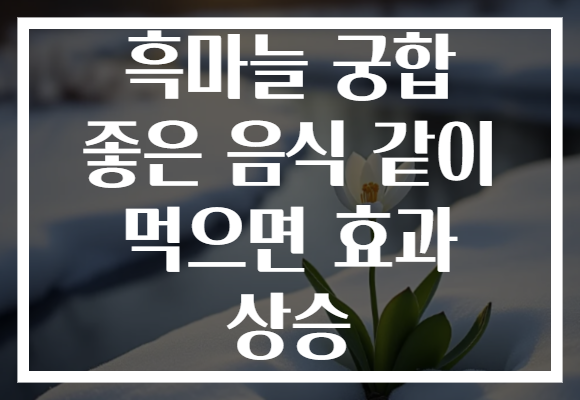 흑마늘 궁합 좋은 음식 같이 먹으면 효과 상승