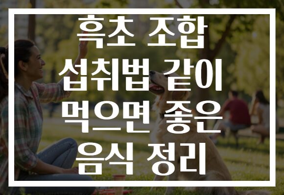 흑초 조합 섭취법 같이 먹으면 좋은 음식 정리