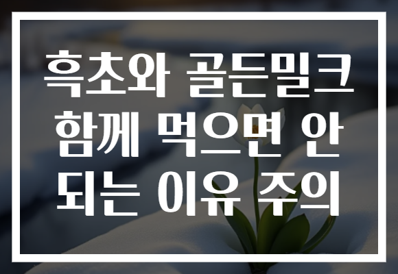 흑초와 골든밀크 함께 먹으면 안 되는 이유 주의