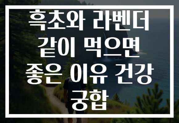 흑초와 라벤더 같이 먹으면 좋은 이유 건강 궁합