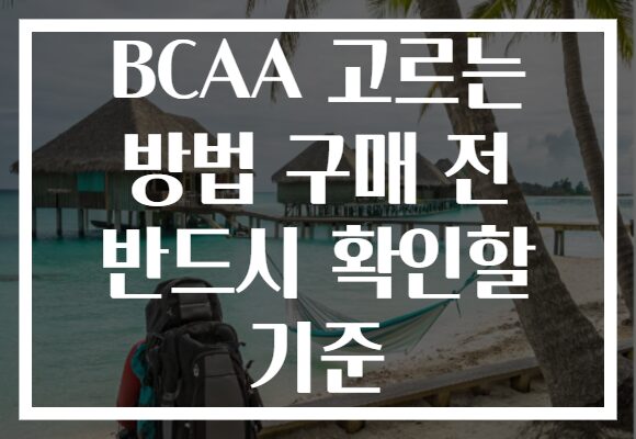 BCAA 고르는 방법 구매 전 반드시 확인할 기준