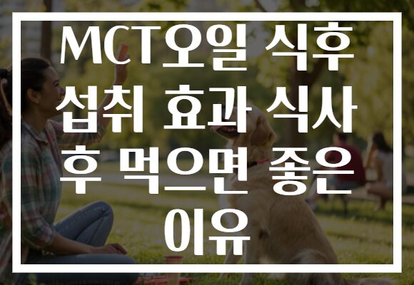 MCT오일 식후 섭취 효과 식사 후 먹으면 좋은 이유