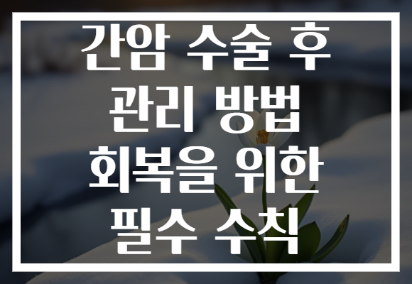 간암 수술 후 관리 방법 회복을 위한 필수 수칙