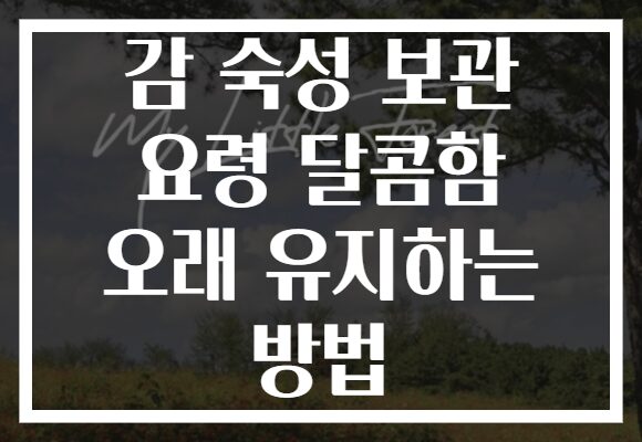 감 숙성 보관 요령 달콤함 오래 유지하는 방법