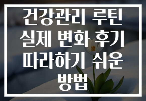 건강관리 루틴 실제 변화 후기 따라하기 쉬운 방법