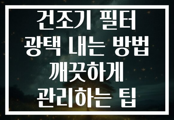 건조기 필터 광택 내는 방법 깨끗하게 관리하는 팁