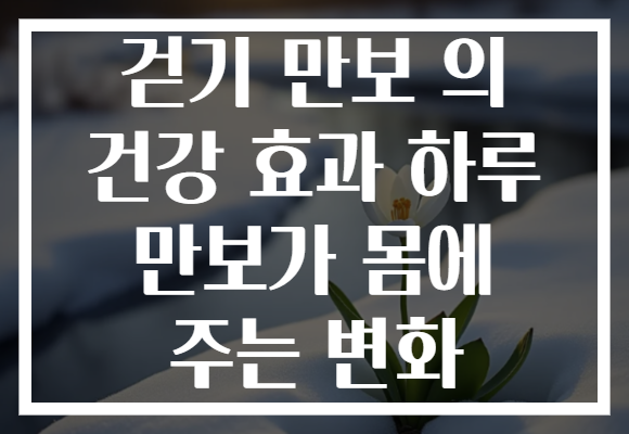 걷기 만보 의 건강 효과 하루 만보가 몸에 주는 변화