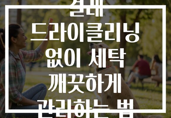 걸레 드라이클리닝 없이 세탁 깨끗하게 관리하는 법