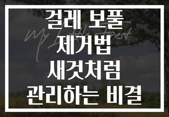 걸레 보풀 제거법 새것처럼 관리하는 비결