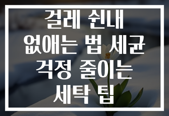 걸레 쉰내 없애는 법 세균 걱정 줄이는 세탁 팁
