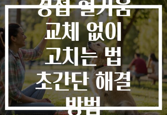 경첩 헐거움 교체 없이 고치는 법 초간단 해결 방법