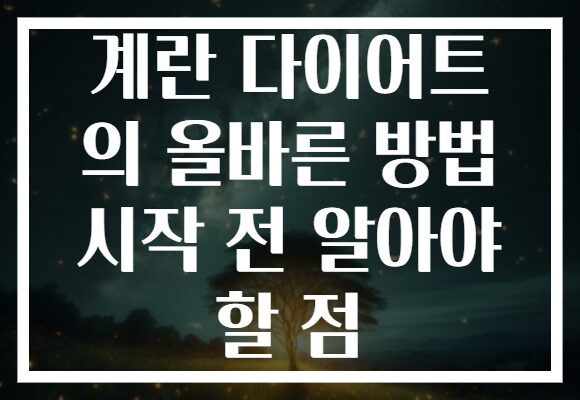 계란 다이어트 의 올바른 방법 시작 전 알아야 할 점