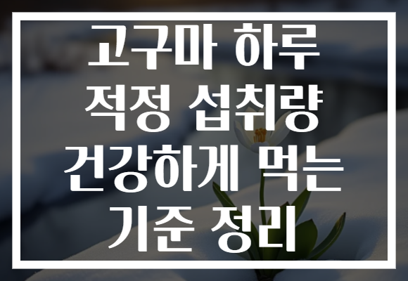 고구마 하루 적정 섭취량 건강하게 먹는 기준 정리