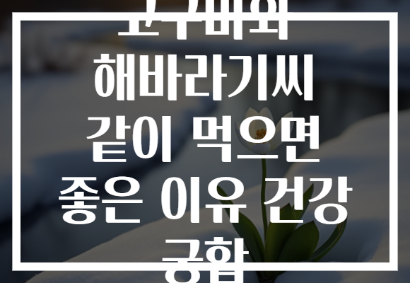 고구마와 해바라기씨 같이 먹으면 좋은 이유 건강 궁합