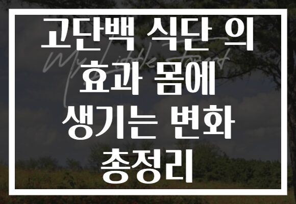 고단백 식단 의 효과 몸에 생기는 변화 총정리