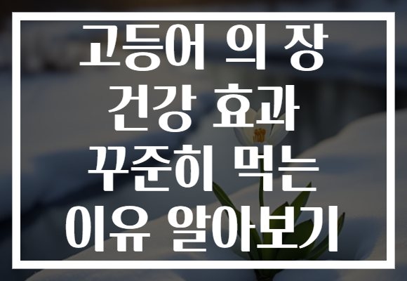 고등어 의 장 건강 효과 꾸준히 먹는 이유 알아보기