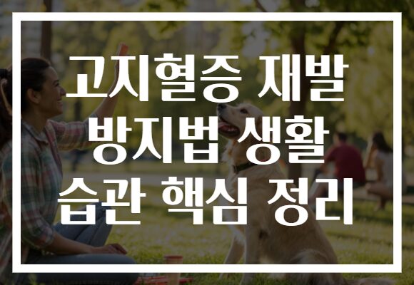 고지혈증 재발 방지법 생활 습관 핵심 정리