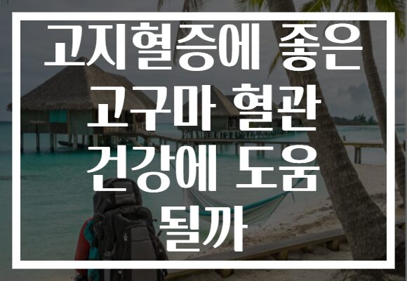 고지혈증에 좋은 고구마 혈관 건강에 도움 될까