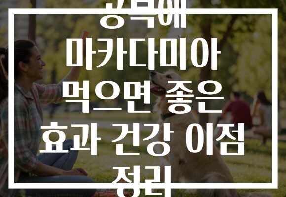 공복에 마카다미아 먹으면 좋은 효과 건강 이점 정리