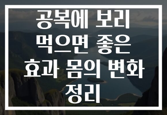 공복에 보리 먹으면 좋은 효과 몸의 변화 정리