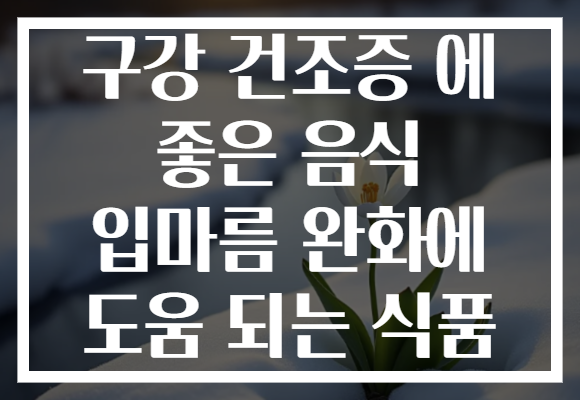 구강 건조증 에 좋은 음식 입마름 완화에 도움 되는 식품
