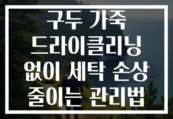 구두 가죽 드라이클리닝 없이 세탁 손상 줄이는 관리법