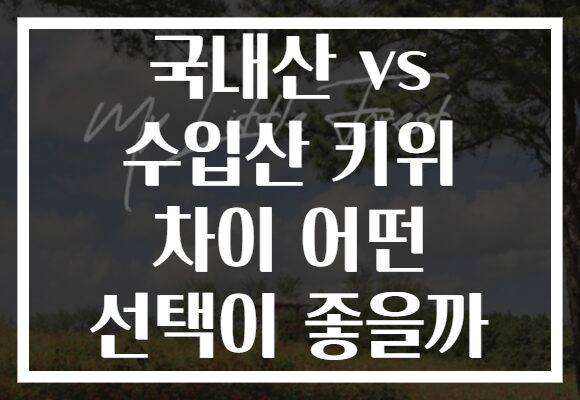 국내산 vs 수입산 키위 차이 어떤 선택이 좋을까