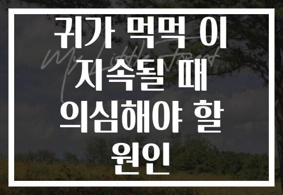 귀가 먹먹 이 지속될 때 의심해야 할 원인