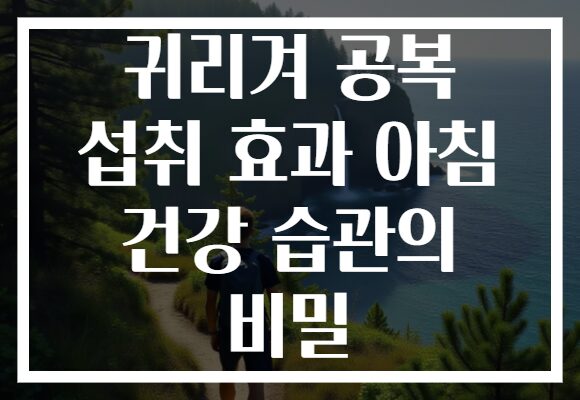 귀리겨 공복 섭취 효과 아침 건강 습관의 비밀