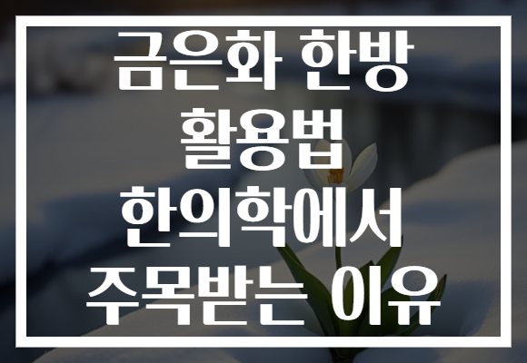 금은화 한방 활용법 한의학에서 주목받는 이유