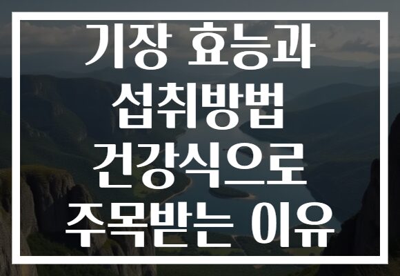 기장 효능과 섭취방법 건강식으로 주목받는 이유