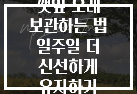 깻잎 오래 보관하는 법 일주일 더 신선하게 유지하기