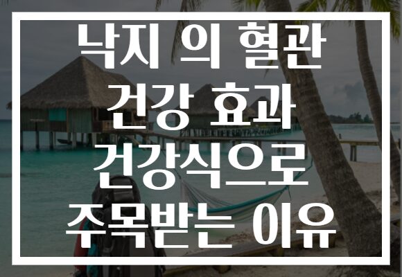 낙지 의 혈관 건강 효과 건강식으로 주목받는 이유