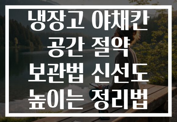 냉장고 야채칸 공간 절약 보관법 신선도 높이는 정리법