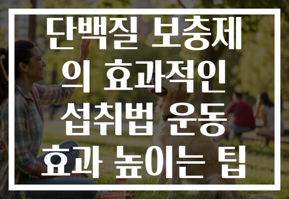 단백질 보충제 의 효과적인 섭취법 운동 효과 높이는 팁