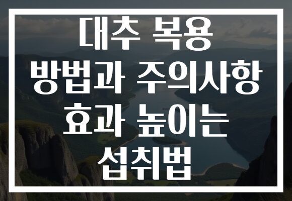 대추 복용 방법과 주의사항 효과 높이는 섭취법