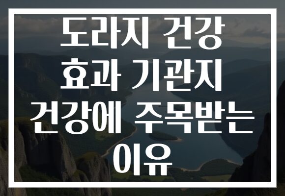 도라지 건강 효과 기관지 건강에 주목받는 이유
