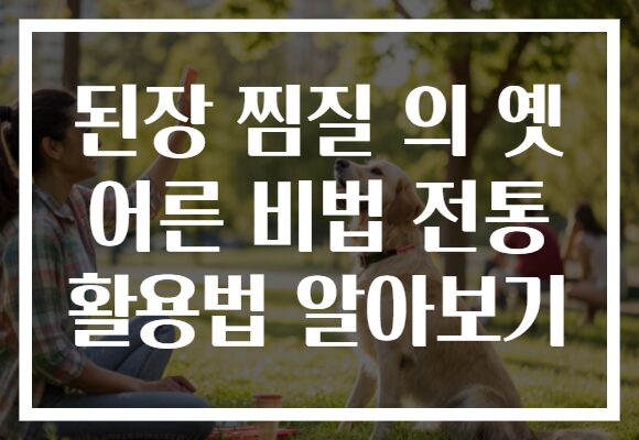 된장 찜질 의 옛 어른 비법 전통 활용법 알아보기