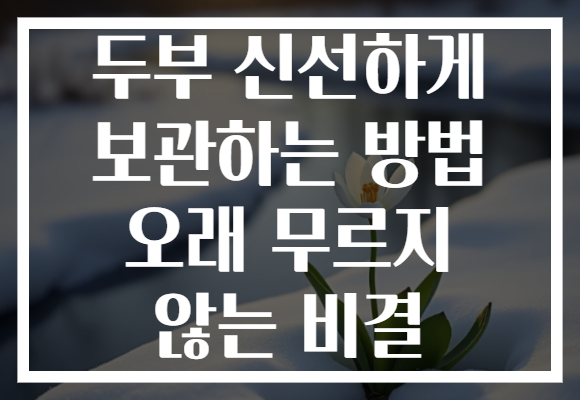 두부 신선하게 보관하는 방법 오래 무르지 않는 비결
