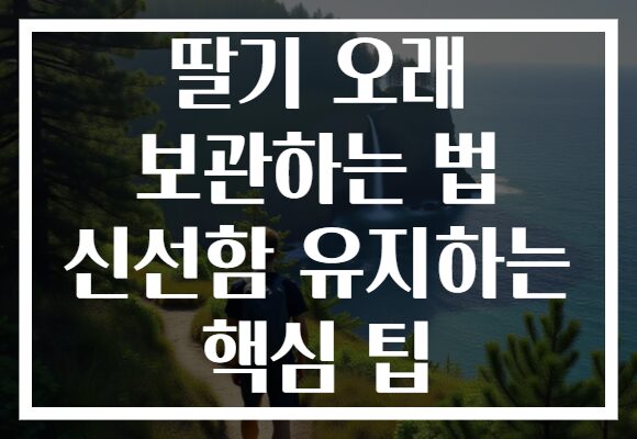 딸기 오래 보관하는 법 신선함 유지하는 핵심 팁