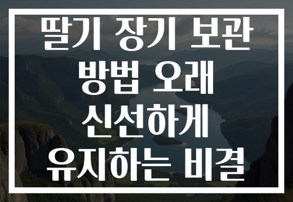 딸기 장기 보관 방법 오래 신선하게 유지하는 비결