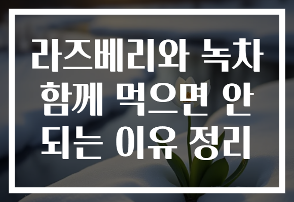 라즈베리와 녹차 함께 먹으면 안 되는 이유 정리