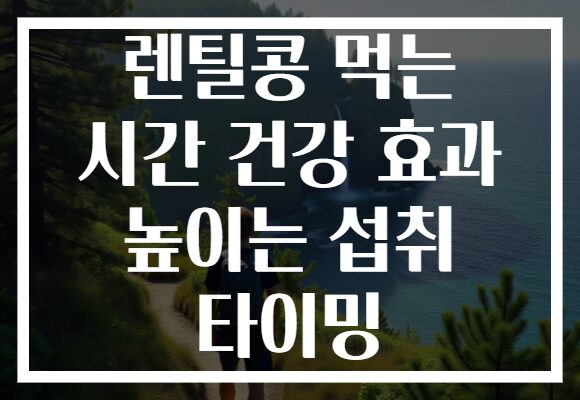 렌틸콩 먹는 시간 건강 효과 높이는 섭취 타이밍