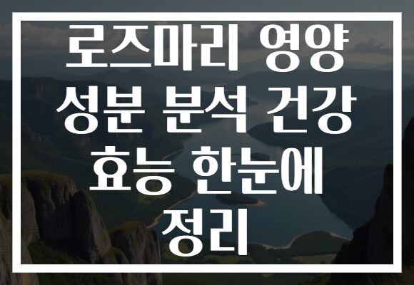 로즈마리 영양 성분 분석 건강 효능 한눈에 정리