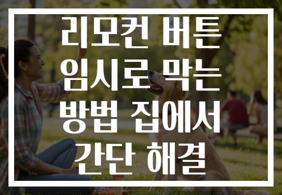 리모컨 버튼 임시로 막는 방법 집에서 간단 해결