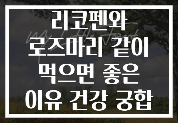 리코펜와 로즈마리 같이 먹으면 좋은 이유 건강 궁합