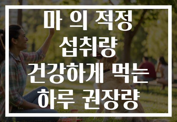 마 의 적정 섭취량 건강하게 먹는 하루 권장량