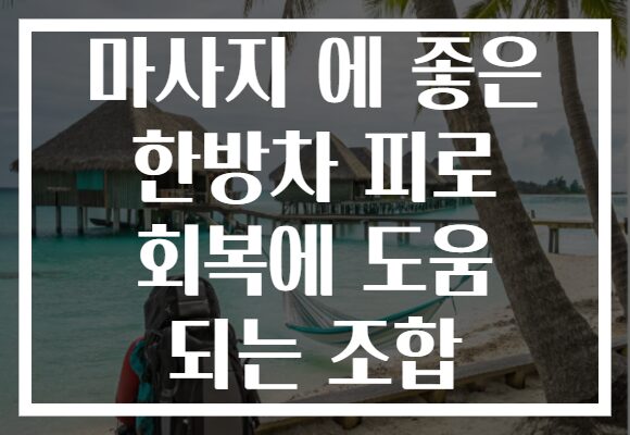 마사지 에 좋은 한방차 피로 회복에 도움 되는 조합