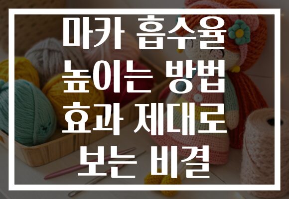 마카 흡수율 높이는 방법 효과 제대로 보는 비결