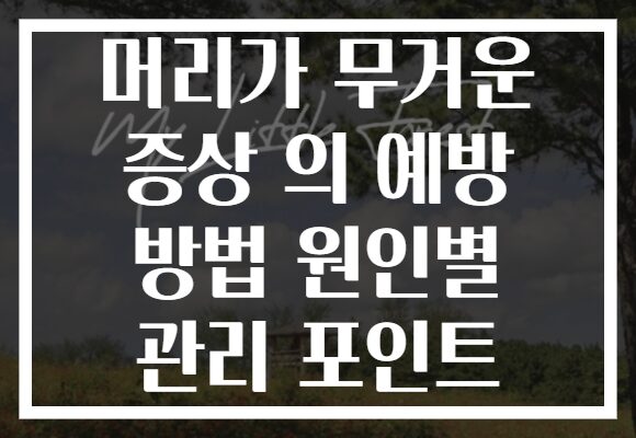 머리가 무거운 증상 의 예방 방법 원인별 관리 포인트
